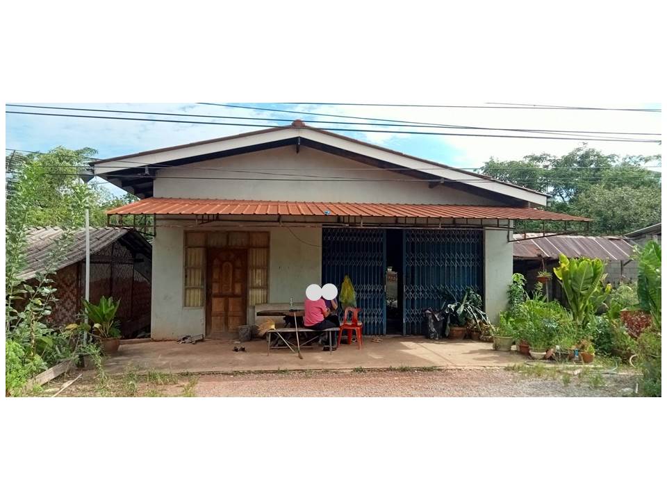 Picture of the author