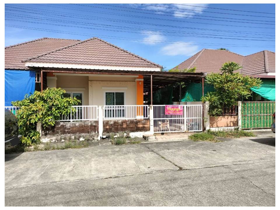 Picture of the author