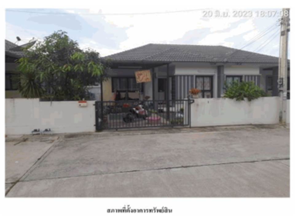 Picture of the author