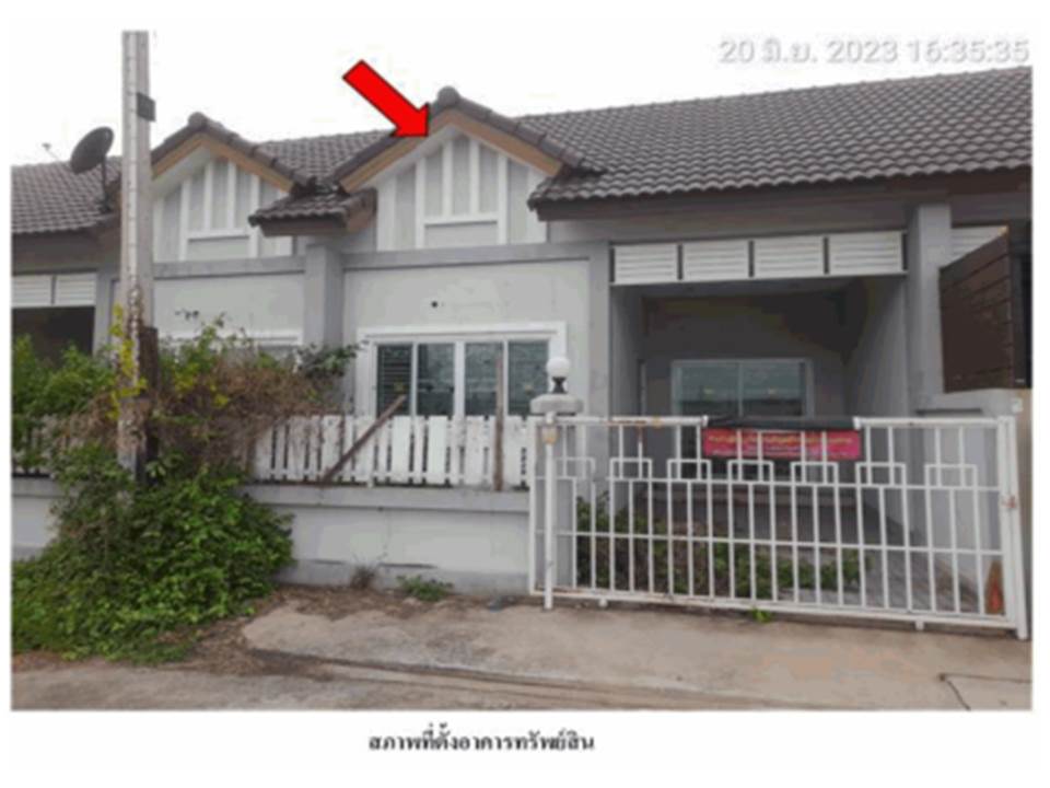 Picture of the author