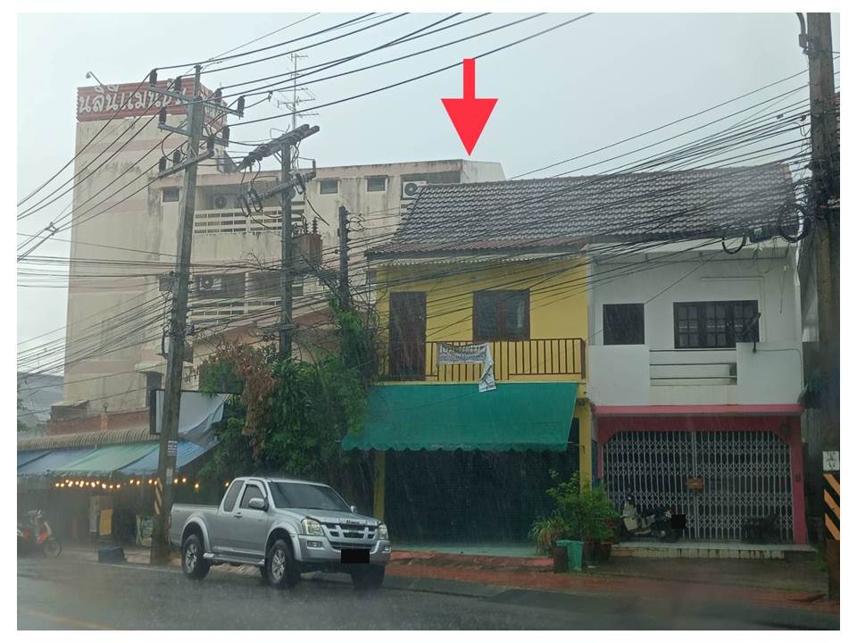 Picture of the author