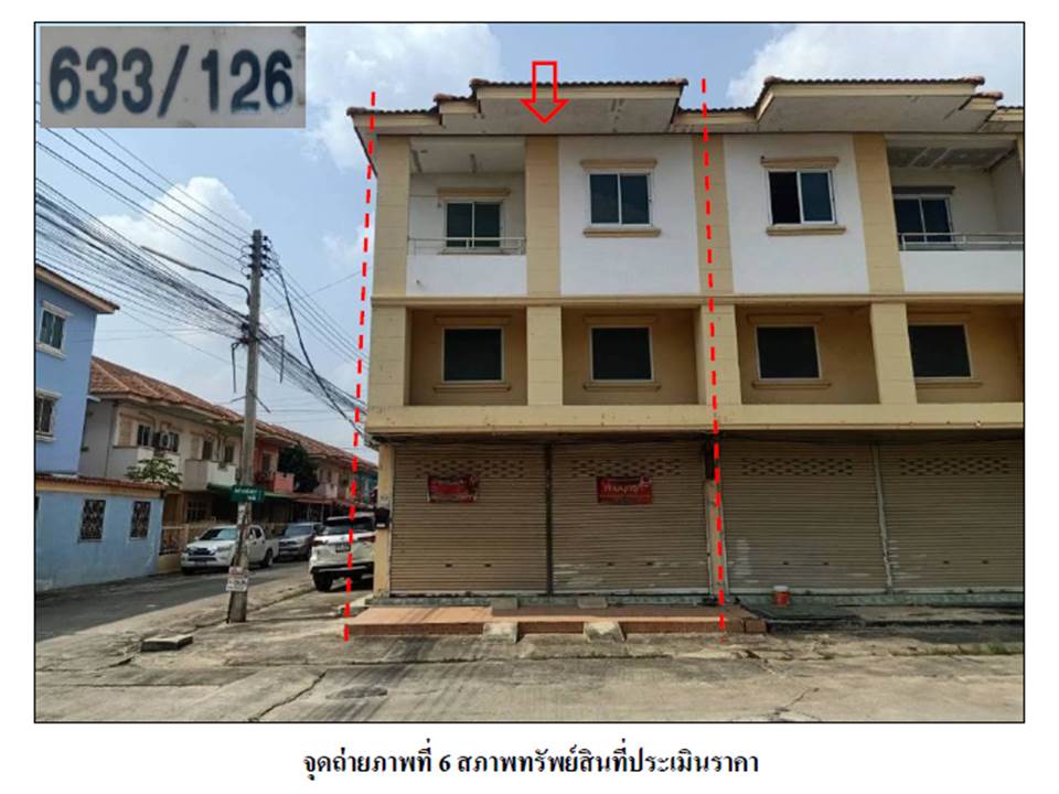 Picture of the author