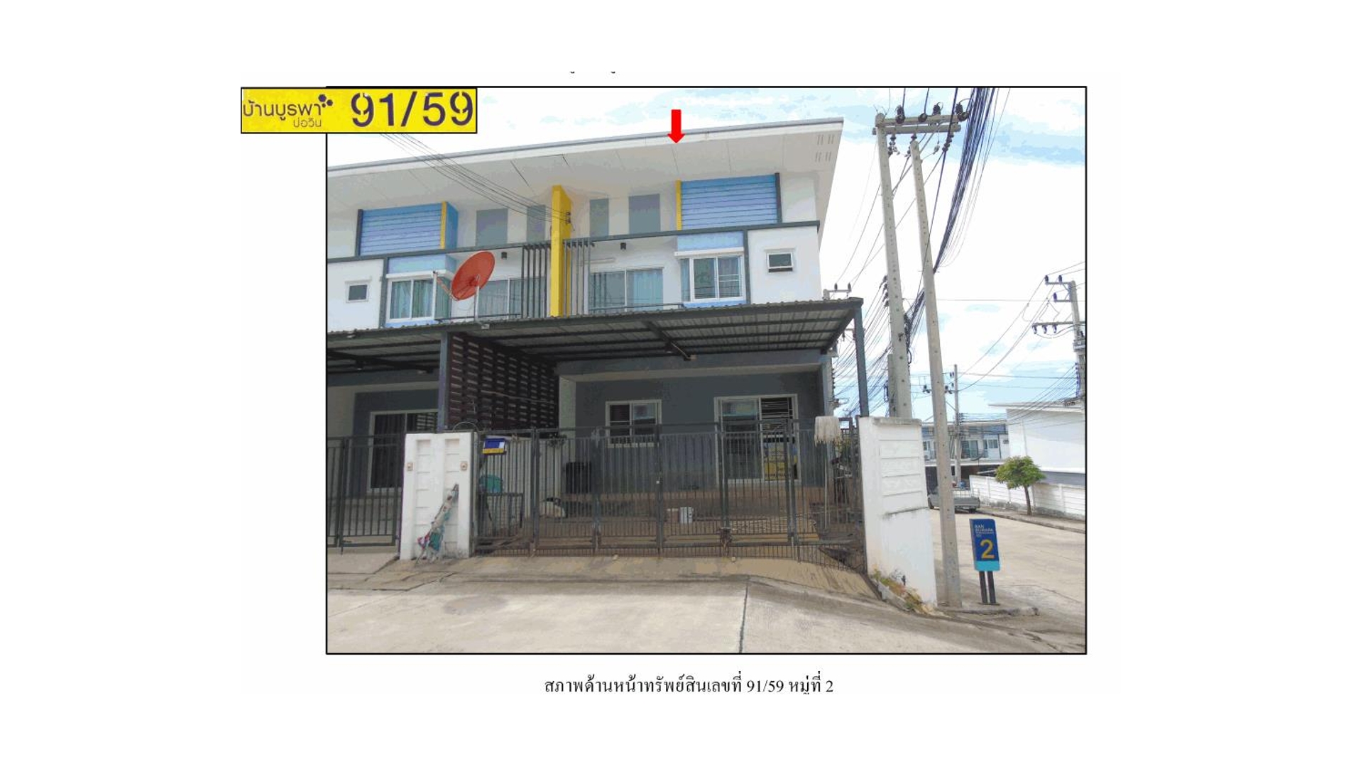 Picture of the author