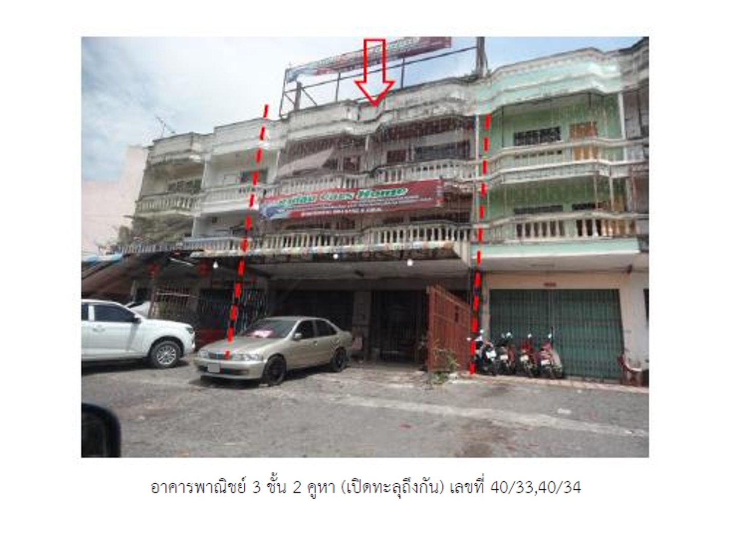 Picture of the author