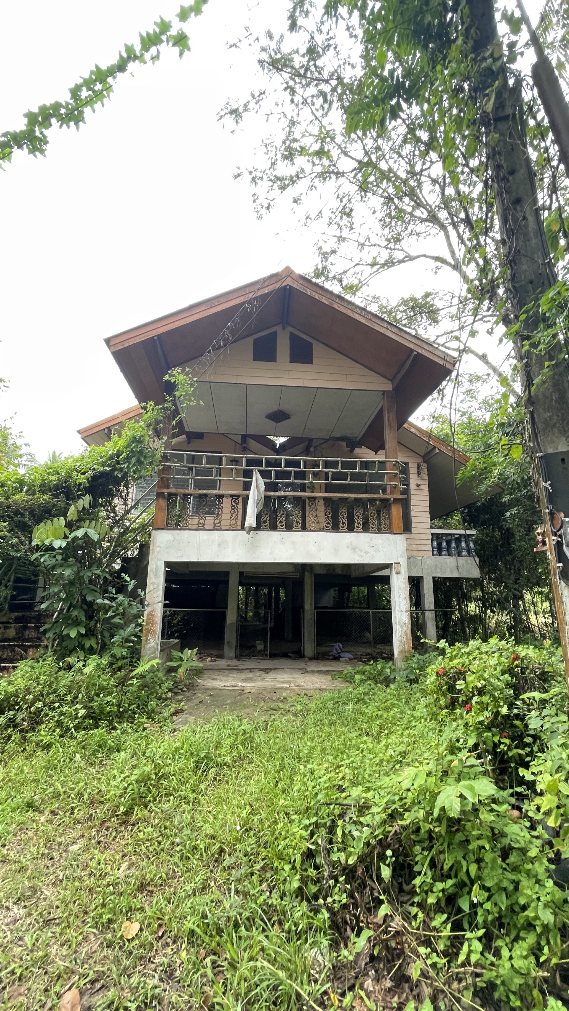 Picture of the author