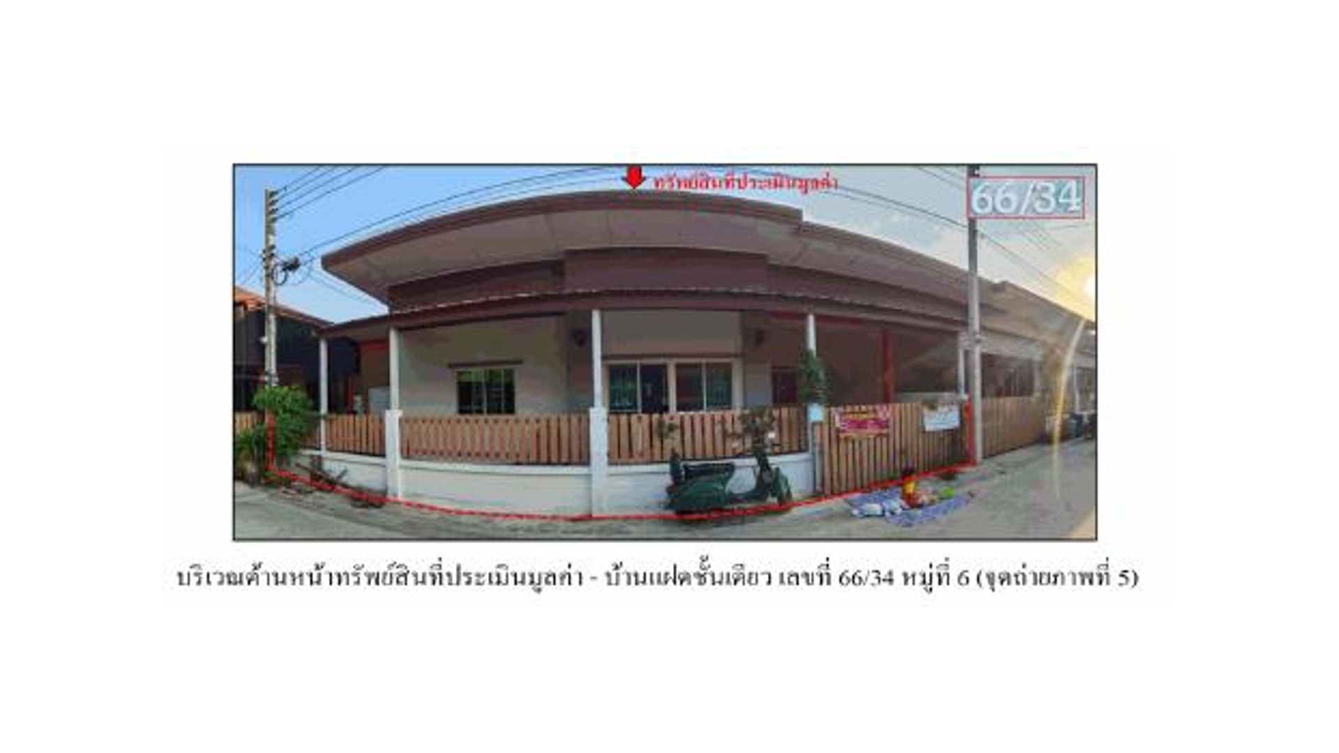 Picture of the author