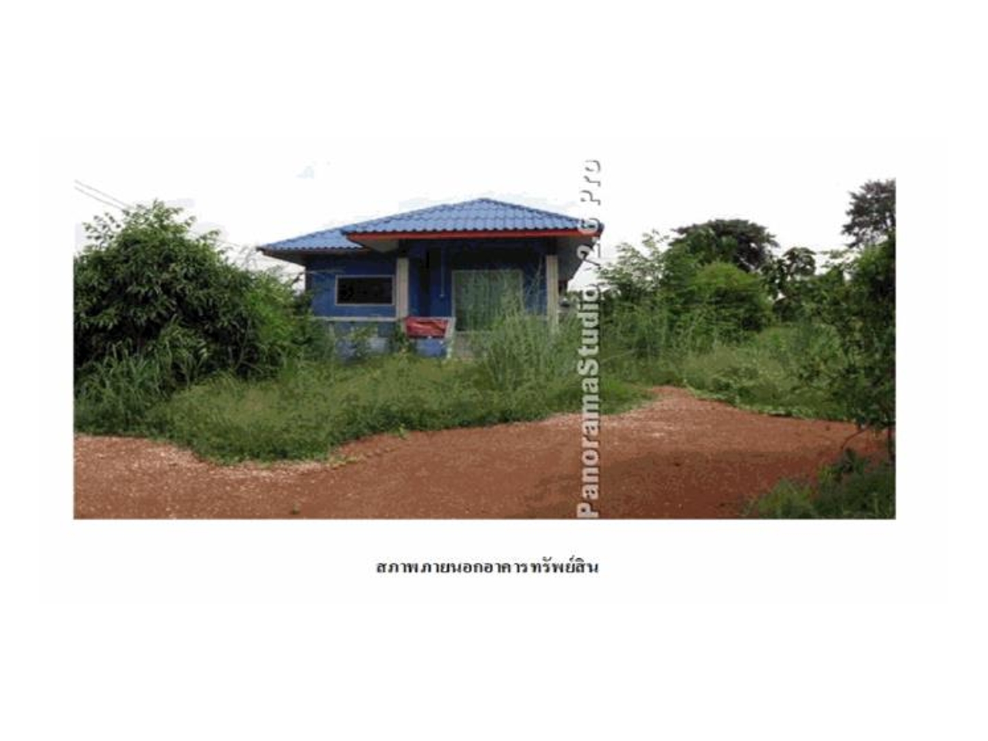 Picture of the author