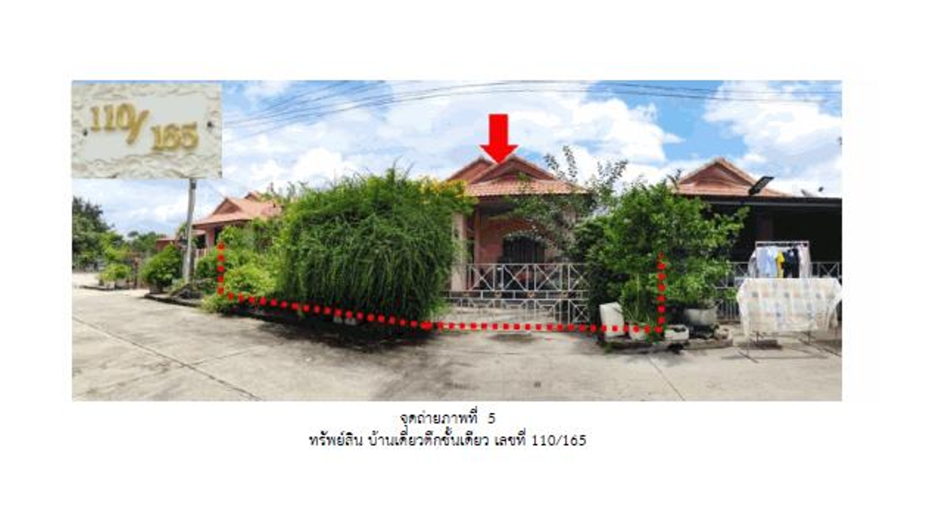 Picture of the author