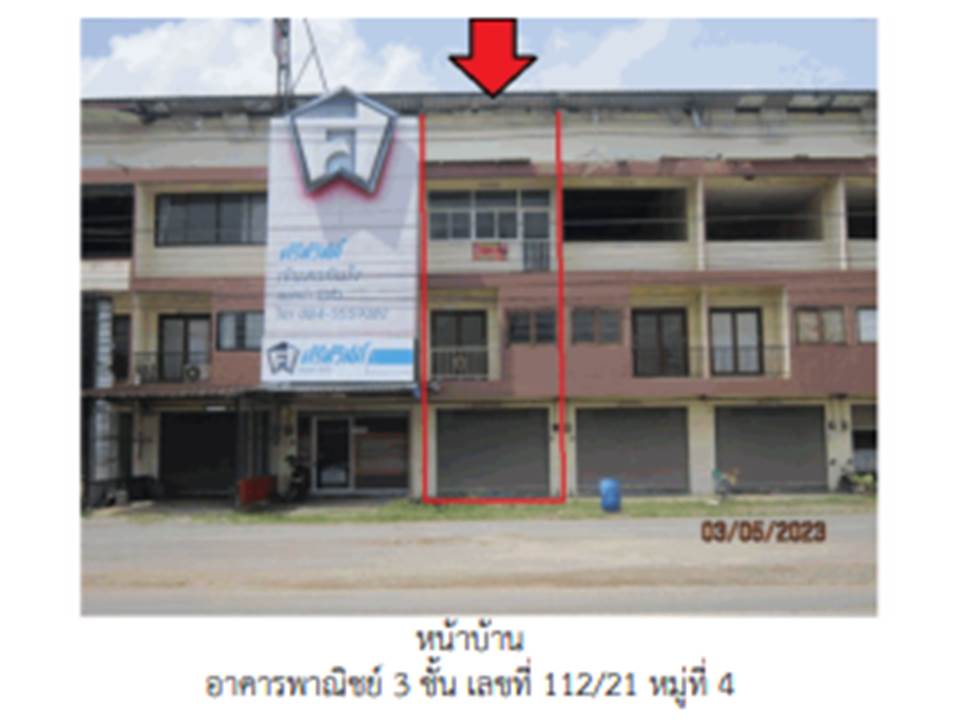 Picture of the author