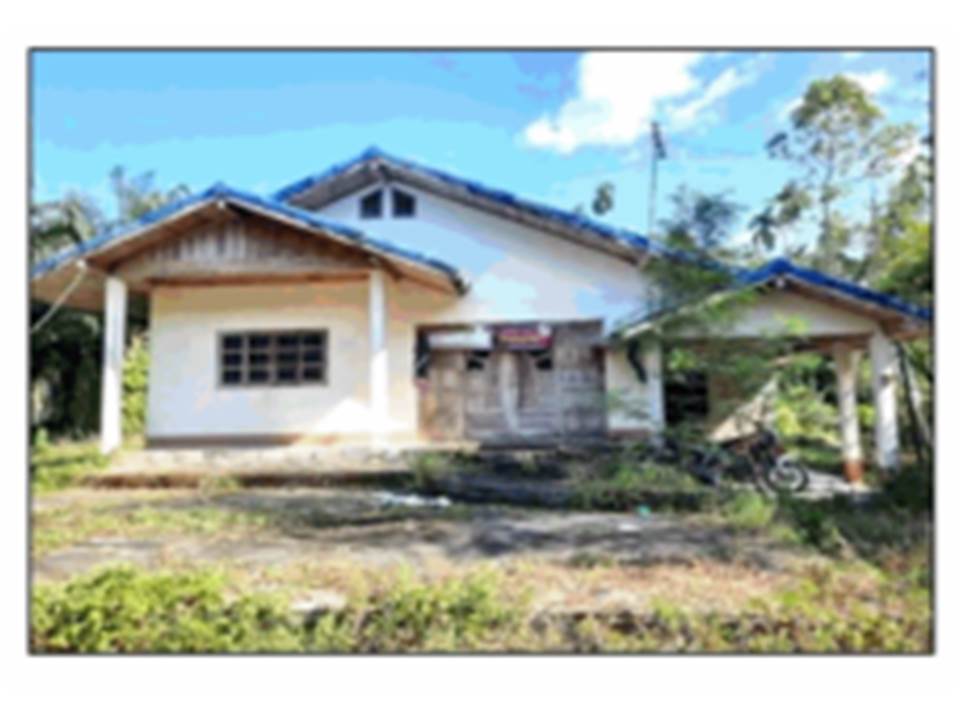 Picture of the author