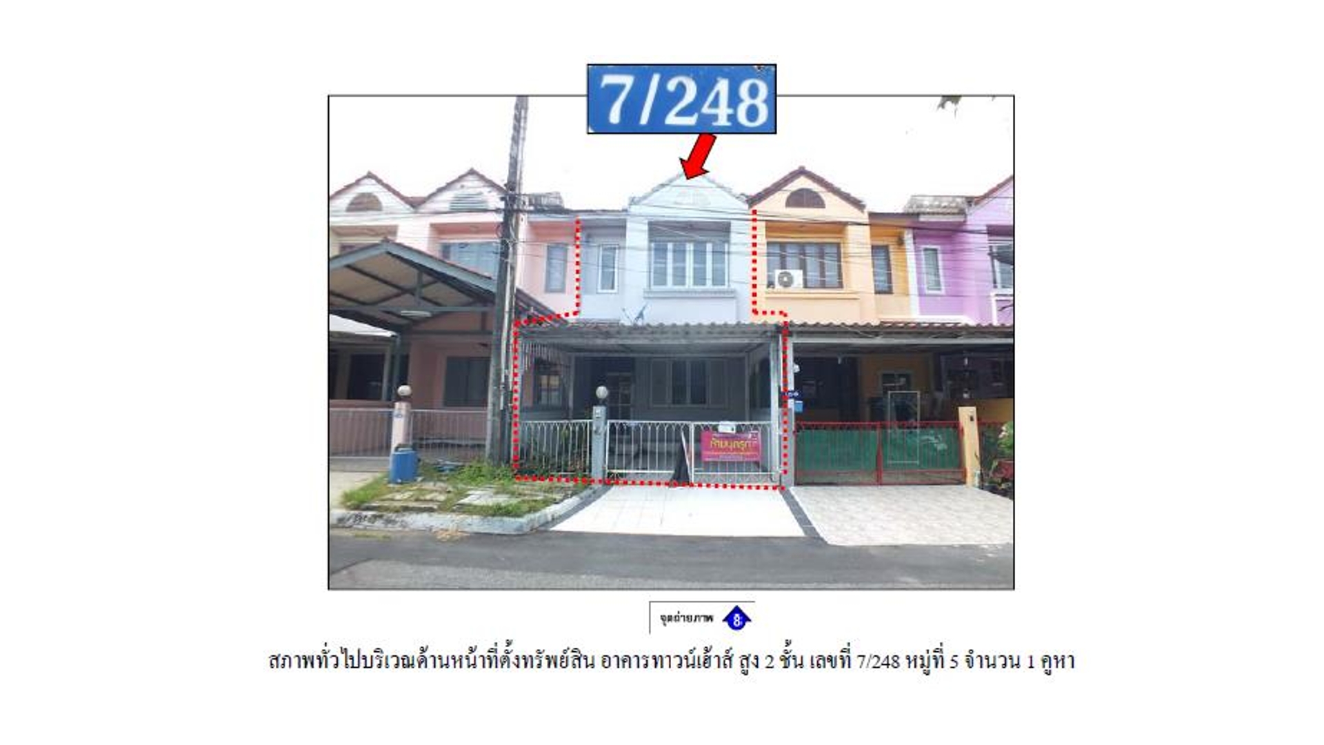 Picture of the author