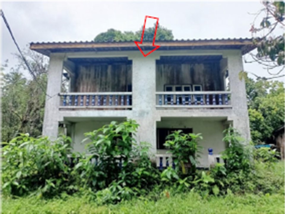 Picture of the author