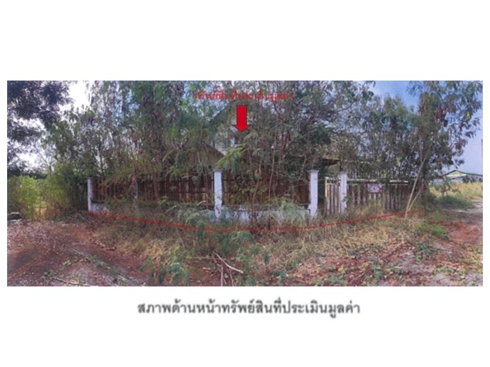 บ้านเดี่ยว ยางงาม หนองไผ่ เพชรบูรณ์