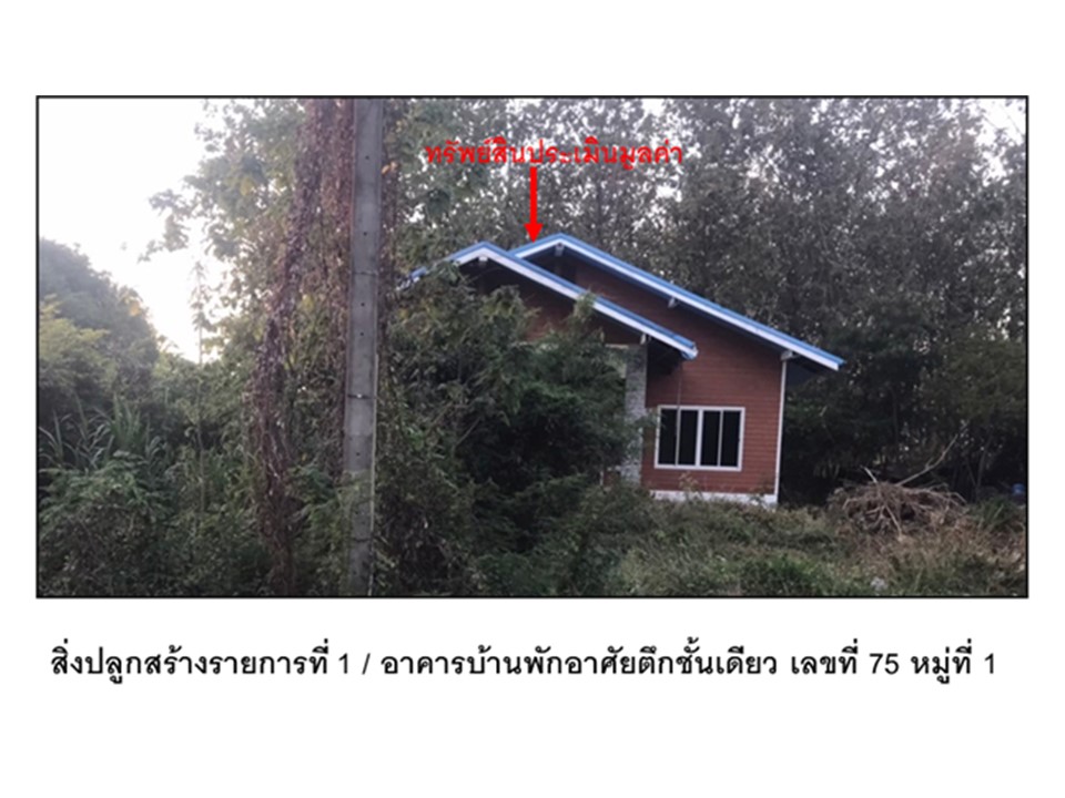 บ้านเดี่ยว ชอนม่วง บ้านหมี่ ลพบุรี