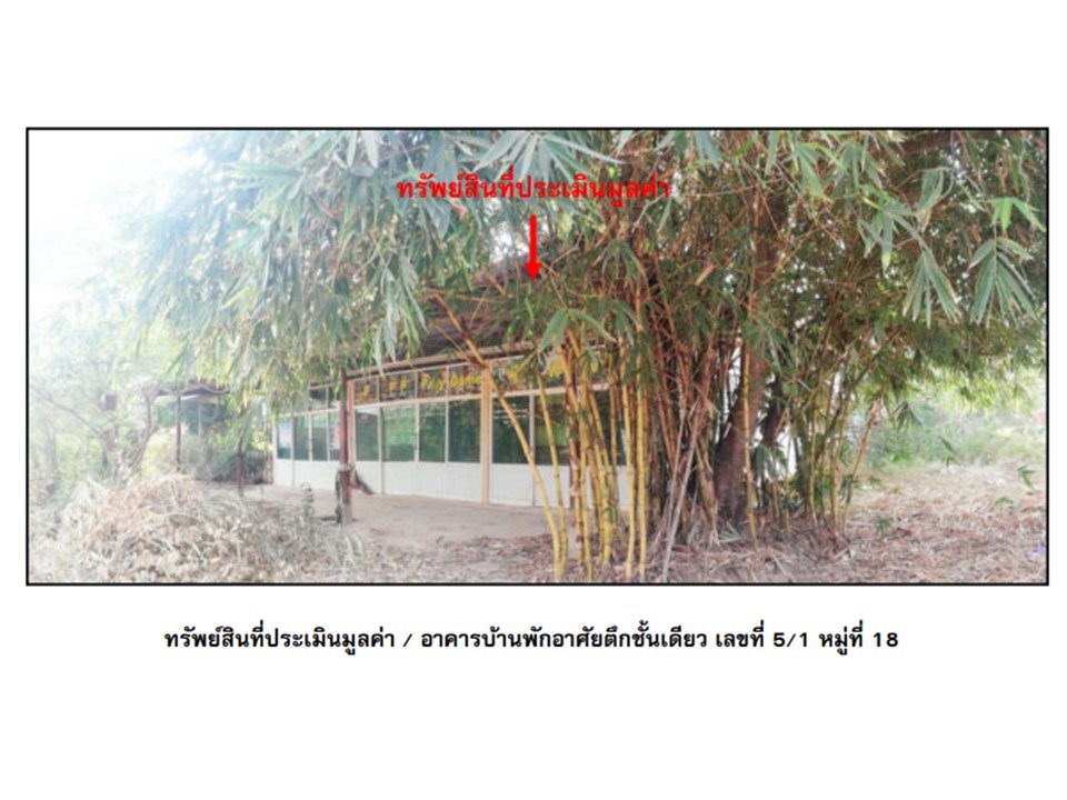 บ้านเดี่ยว นาสนุ่น ศรีเทพ เพชรบูรณ์