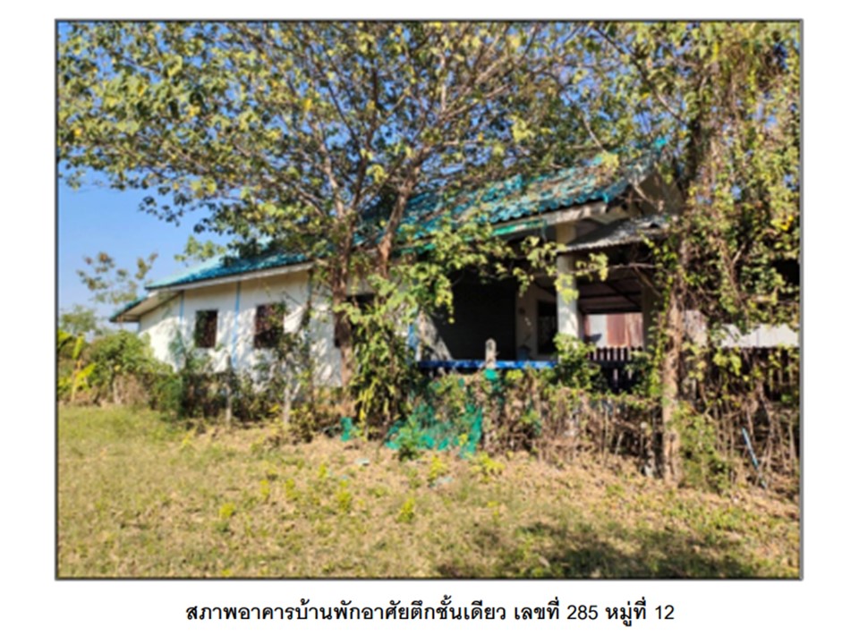 บ้านเดี่ยว พุเตย วิเชียรบุรี เพชรบูรณ์