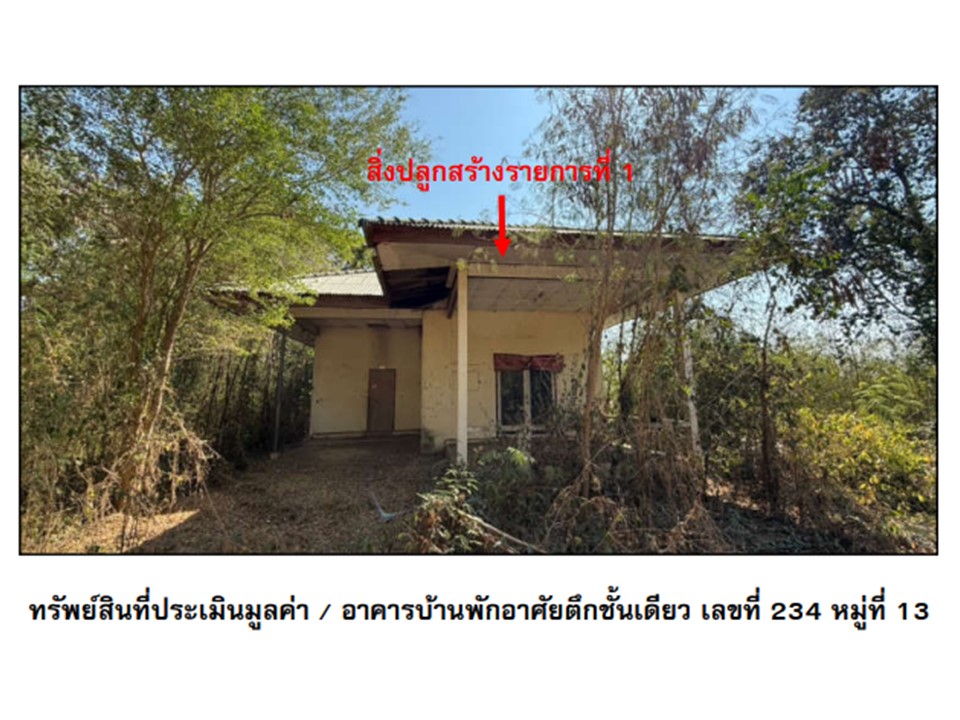 บ้านเดี่ยว เนินสว่าง โพธิ์ประทับช้าง พิจิตร