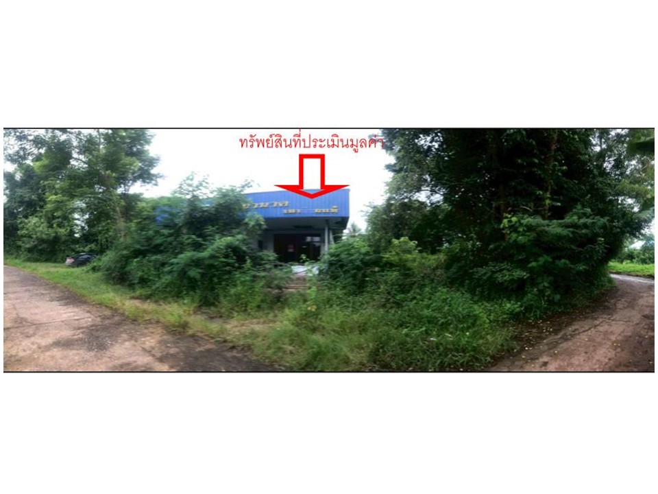 บ้านเดี่ยว น้ำโมง ท่าบ่อ หนองคาย