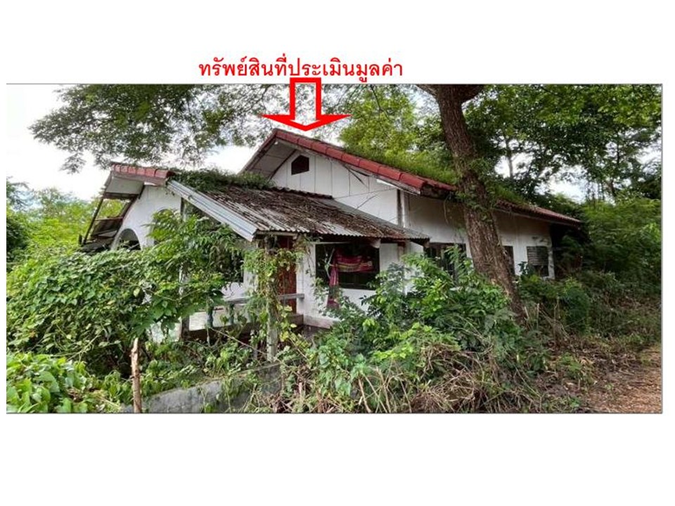 บ้านเดี่ยว หันนางาม ศรีบุญเรือง หนองบัวลำภู