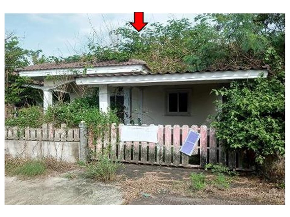 บ้านเดี่ยว วังเย็น แปลงยาว ฉะเชิงเทรา