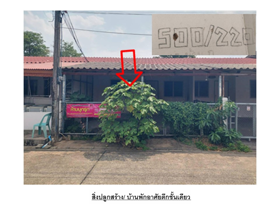 ทาวน์เฮาส์ สะเดียง เมืองเพชรบูรณ์ เพชรบูรณ์