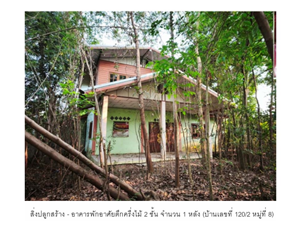 บ้านเดี่ยว เนินปอ สามง่าม พิจิตร