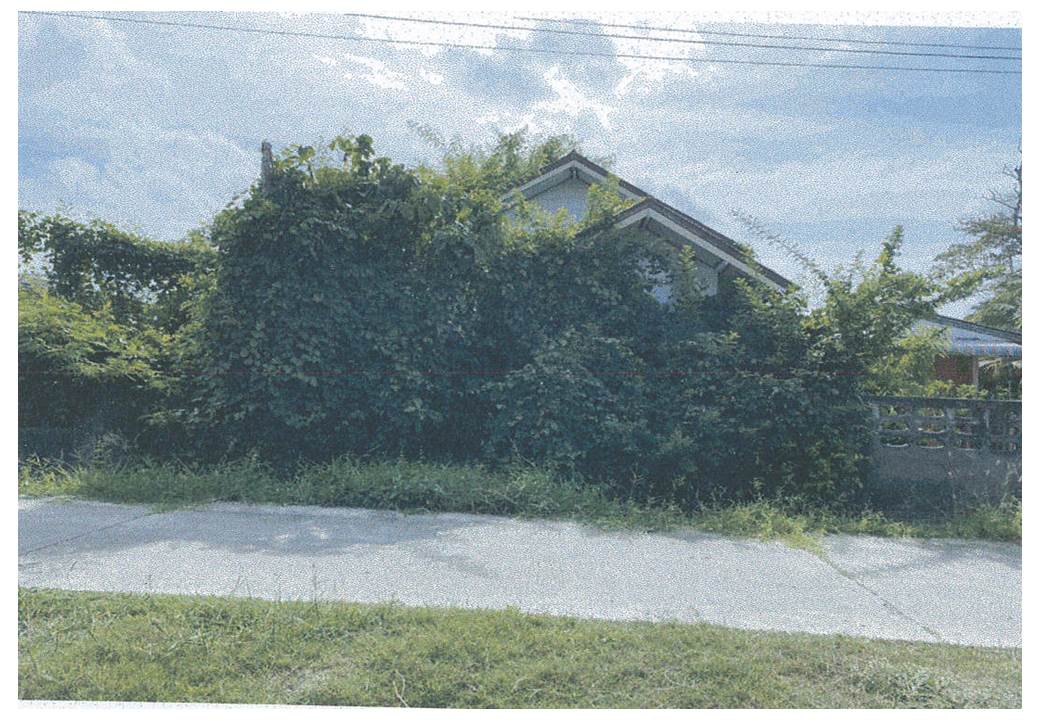 บ้านเดี่ยว พังยาง ระโนด สงขลา